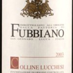 Tour degustazione vino Fubbiano