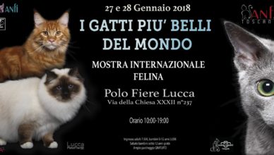 Expo felina Polo Fiera Lucca