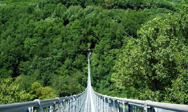 Suspension Bridge